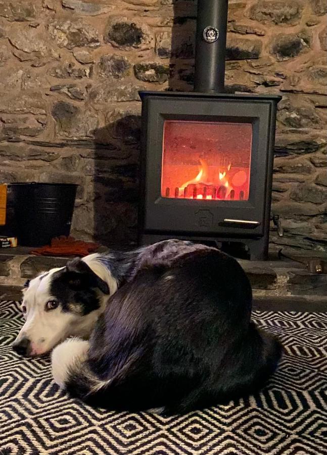 LlangynogBryn Glas Wales别墅 外观 照片