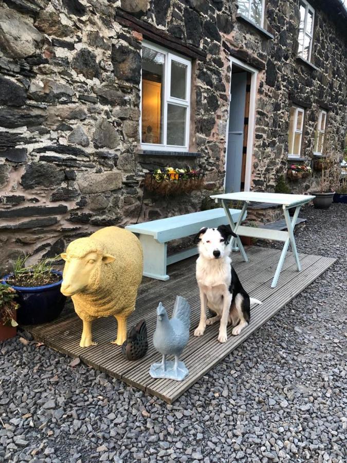 LlangynogBryn Glas Wales别墅 外观 照片