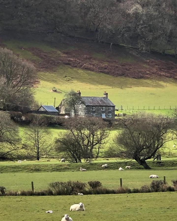 LlangynogBryn Glas Wales别墅 外观 照片